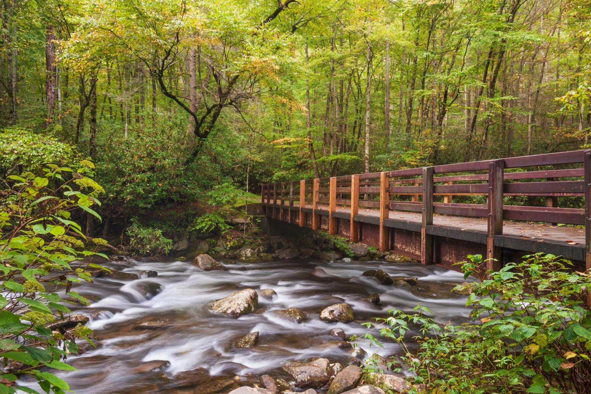 River Song, Near River, Hot Tub, Foosball, Wifi 1089 Free Tickets Each Paid Day, Dollywood And More Sevierville Exteriör bild